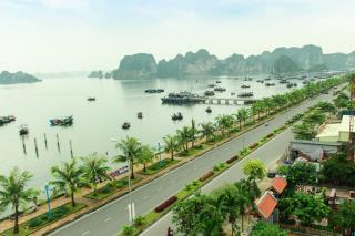 phongcanh-2